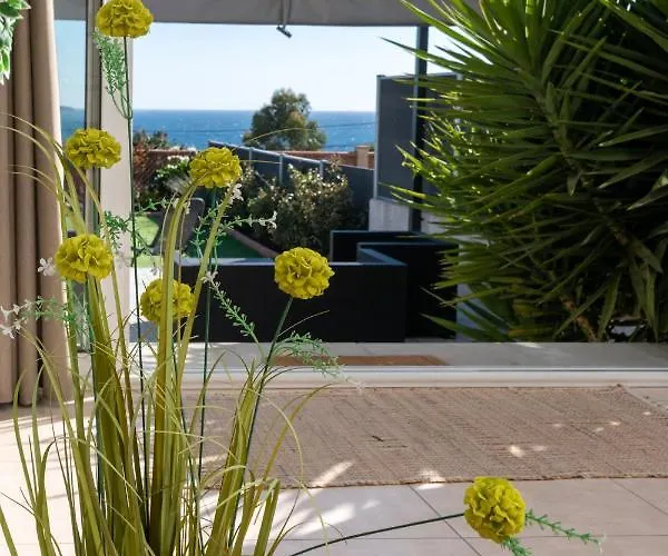 Face A La Superbe Terrasse Barbecue Le Pradet Carqueiranne